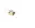 CK227301-1 Garland
