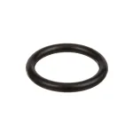 32-1419 - DRAIN O RING (1-3/4 OD)