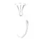 16-5525 - DOUGH HOOK MIXER 12QT