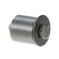41215 Silver King