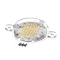 DELFIELD - 000-CYG-0000-S - ASSEMBLY LED LIGHT (COVE R LED