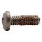 T&S BRASS - 000933-45 - SEAT SCREW