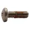 T&S Brass TS20L
