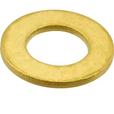 T&S BRASS - 000974-45 - WASHER,BONNET, PUSH BUTTON,TS