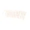 DELFIELD - 0074058-S - TUBE, CAPILLARY, 4004048 FREEZR