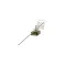 Groen 013482