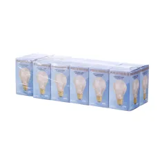801-3989 - LIGHT BULB KIT, 12PK, 40W 250V