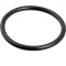 800-9954 - SLOAN O RING FOR TAIL PIECE