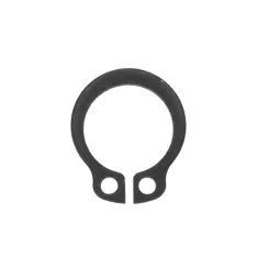 BLODGETT - 3840 - RETAINING RING