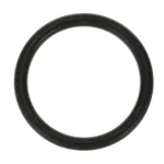 SER05127 Server Products - Durable O-ring for Pumps