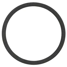 HENNY PENNY - 162498 - PUMP GASKET