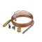 Blodgett 52091