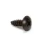TURBOCHEF - 101691 - BLACK OXIDE PLATE SCREW #8 SER