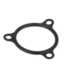 CHAMPION - 109985 - HEATER FLANGE SEAL