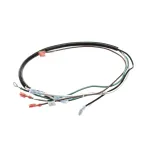 Delfield 2187270 Wire Harness, Blender Module, 16/3