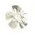 24194 Silver King