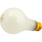 253-1143 - BULB,SHATTER RESISTANT, 25W
