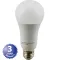 253-1532 - BULB,LED 15.5W, 120V, 10 0EQ