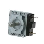 2E-Z10734 Wells - 120 Minute Timer Replacement