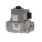 Blodgett 30005