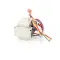 PRINCE CASTLE - 307-76S - XFMR ASSY
