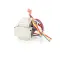 PRINCE CASTLE - 307-76S - XFMR ASSY