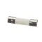MERRYCHEF - 30Z1402 - FUSE 1.6 AMP ROHS-1.6-R REPLAC