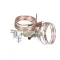 TRAULSEN - 325-60080-42 - THERMO EXPANSION VALVE ANE3/4SW70 R-404A