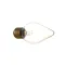 38-1554 - COATED BULB 50/60W 230/240V