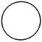 HOSHIZAKI - 4A4755-04 - O-RING JIS G90