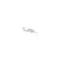 801-3704 - BULB, 20W 12V, G4 XENON
