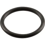 Manitowoc Ice 5004679 O-Ring, Water Pump Outlet, 0.875"