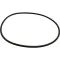 5491002 - O-Ring