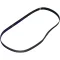 800-9935 - SANISERVE SERPENTINE BELT