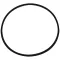 800-9937 - O-RING SANISERVE DOOR