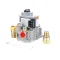 801-2919 - VALVE, COMBO, 24V, 1/2" NPT, LP