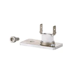 8018349 - New Style Thermal Snap Switch