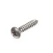 8091966 - Oval Tapping Screw4, 2X22