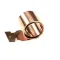 8092487 - Roller Spring 501 Dh 46550X15