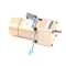 8105158 - Gear Motor Assembly -Rolltiss