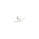 8124864 - Grille Fixture (Left)