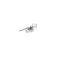 8127191 - Thermostat