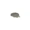 8129204 - Chain, #50, 81 Links, 50-5/8Lg,