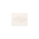 8132718 - Hand Guard