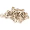 FRYMASTER - 8261374 - (8090412) QTY 25 SCREW
