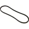 8401951 - Belt