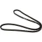8402003 - Belt