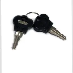 TRUE - 932992 - KEYS, SET OF 2 FOR LOCK 831373 & 935645