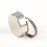 99649 Silver King