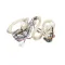 PITCO - B6781501 - WRG, SPINAL TAP LWR SRTG